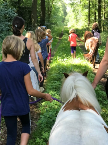 Ponyhof kleine Auszeit - Reitunterricht, Ponyreiten, Reitpädagogik und Events in Uchte