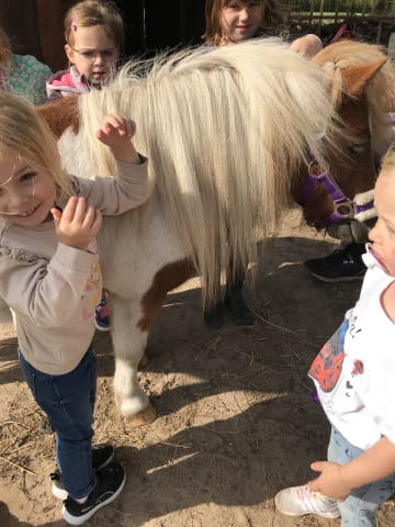 Ponyhof kleine Auszeit - Reitunterricht, Ponyreiten, Reitpädagogik und Events in Uchte