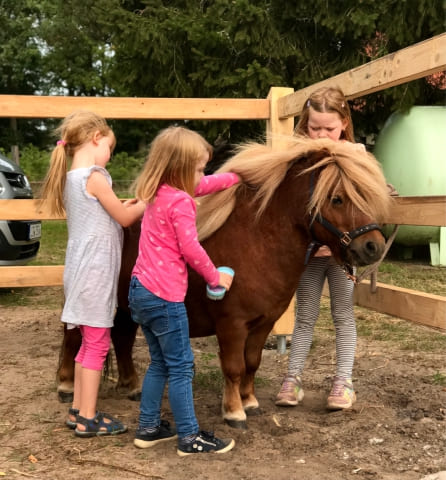 Ponyhof kleine Auszeit - Reitunterricht, Ponyreiten, Reitpädagogik und Events in Uchte