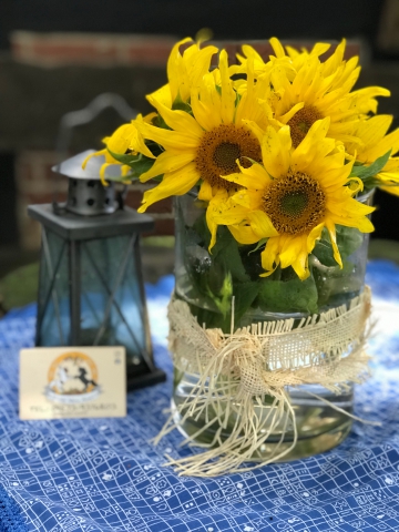 Ponyhof kleine Auszeit - Reitunterricht, Ponyreiten, Reitpädagogik und Events in Uchte