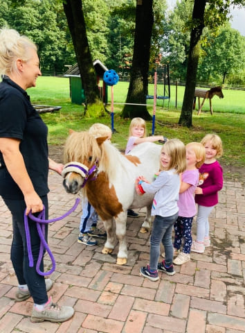 Ponyhof kleine Auszeit - Reitunterricht, Ponyreiten, Reitpädagogik und Events in Uchte